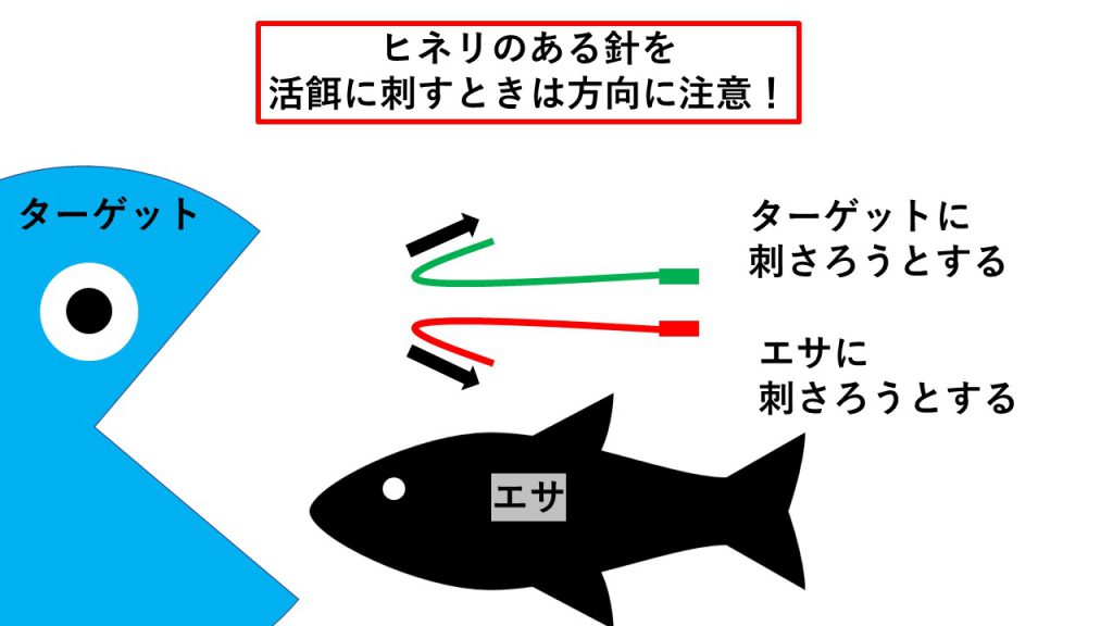 ブリをたくさん釣りたい人のための「堤防泳がせ釣り」の道具【まとめ】